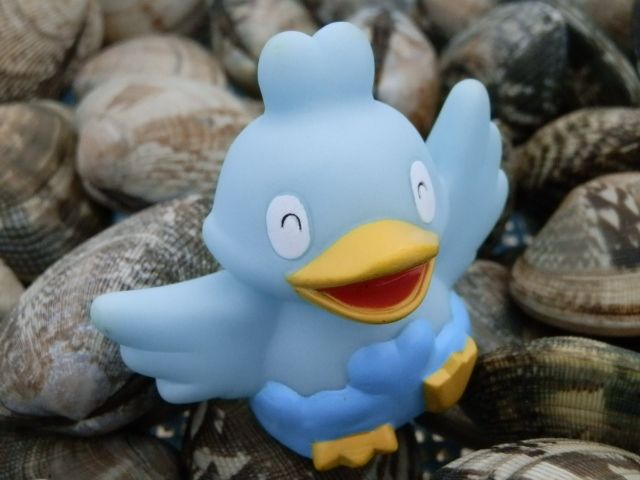 にゃん太のポケモン日記 ポケモンキッズ コアルヒー