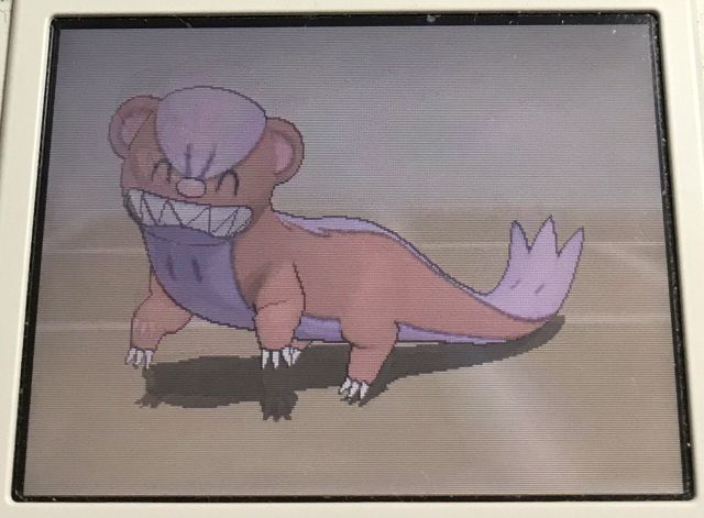 にゃん太のポケモン日記 にゃん太のポケモン日記