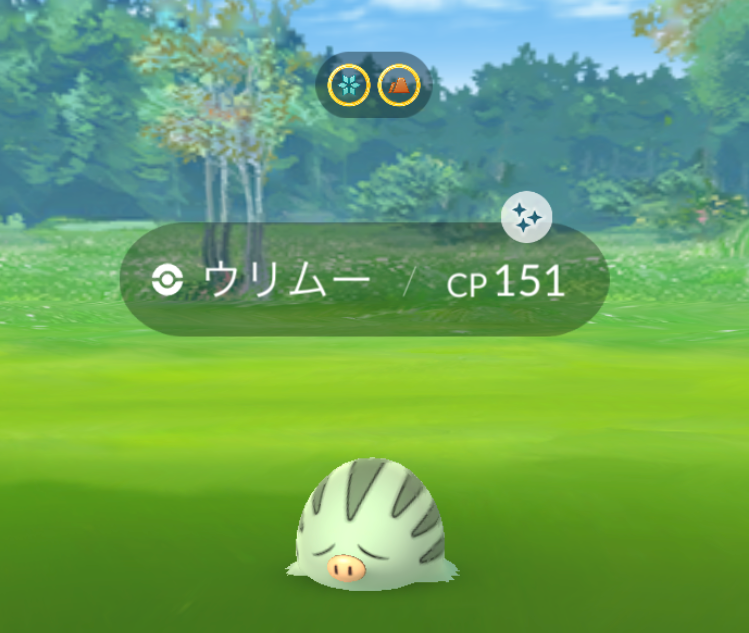 にゃん太のポケモン日記 ポケモンgo Pok Eacute Mon Go コミュニティ デイ ウリムー