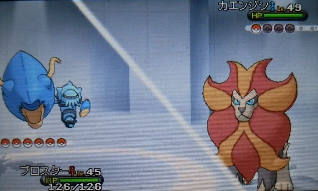 にゃん太のポケモン日記 13年10月