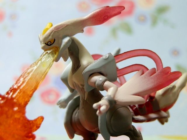 にゃん太のポケモン日記