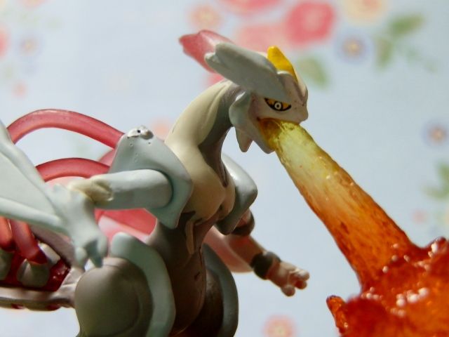 にゃん太のポケモン日記