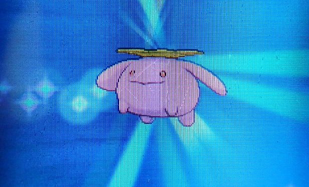 にゃん太のポケモン日記 14年06月08日