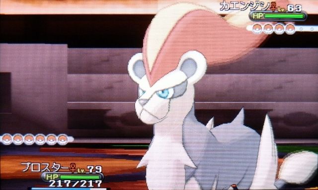 にゃん太のポケモン日記 13年10月26日