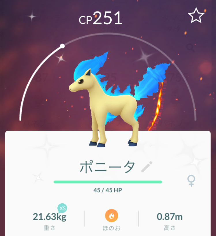 にゃん太のポケモン日記 19年02月12日 にゃん太のポケモン日記 19年02月12日