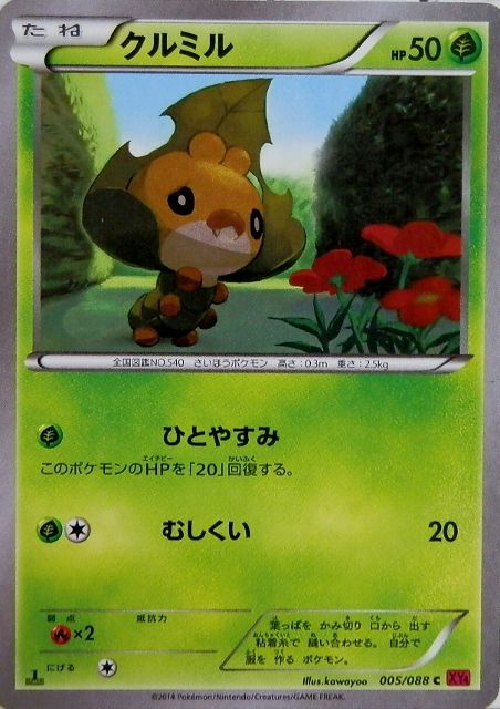 にゃん太のポケモン日記 ファントムゲートなポケモンたち クルミル クルマユ ハハコモリ にゃん太のポケモン日記 ファントムゲートなポケモンたち クルミル クルマユ ハハコモリ