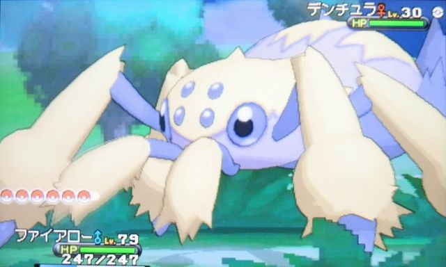 にゃん太のポケモン日記