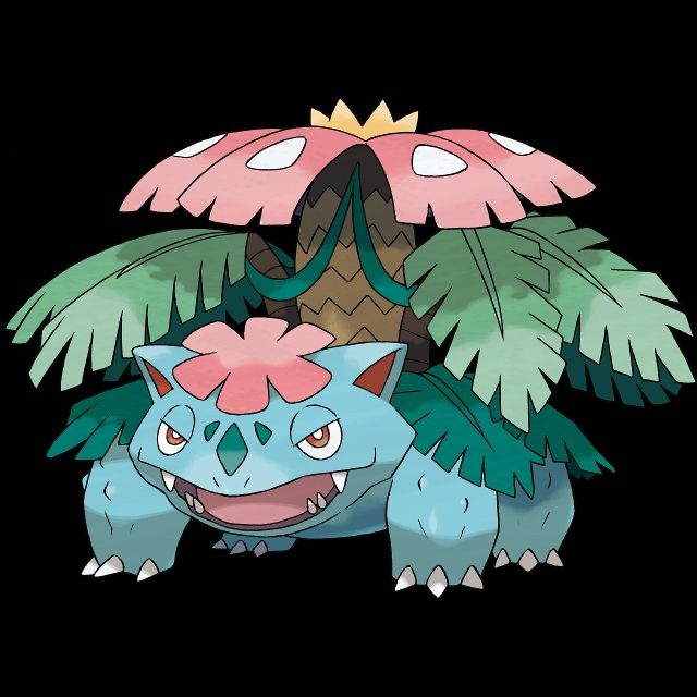 にゃん太のポケモン日記 メガシンカ フシギバナ リザードン カメックス