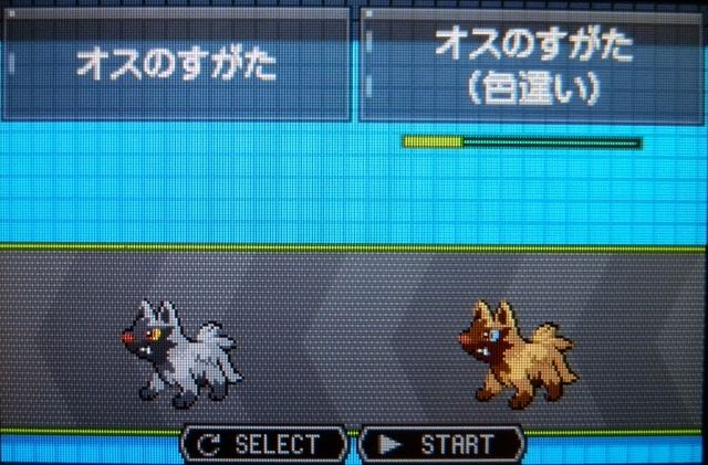 にゃん太のポケモン日記 色違いポチエナ グラエナ