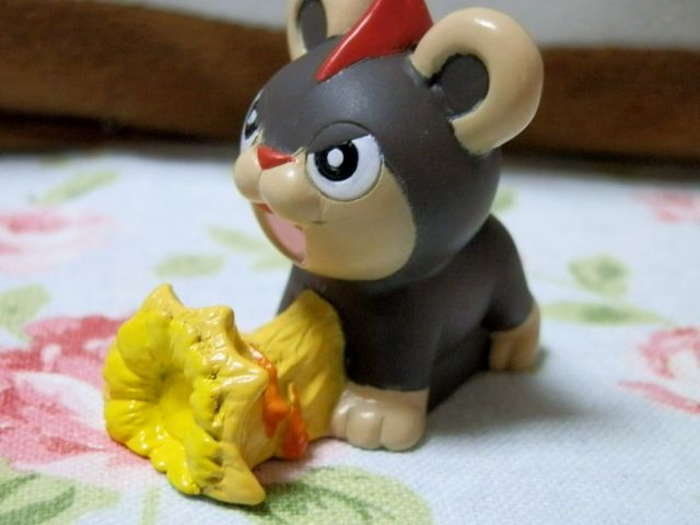 にゃん太のポケモン日記 ポケモンキッズｘｙ シシコ おたけび