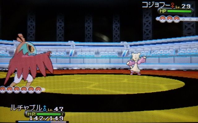 にゃん太のポケモン日記 13年10月
