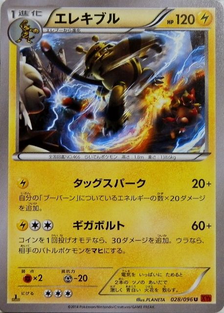 にゃん太のポケモン日記 ライジングフィストなポケモンたち エレブー エレキブル ブーバー ブーバーン