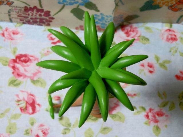 イメージ 7