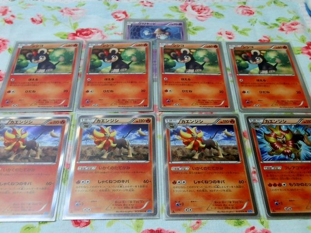 にゃん太のポケモン日記 14年10月22日