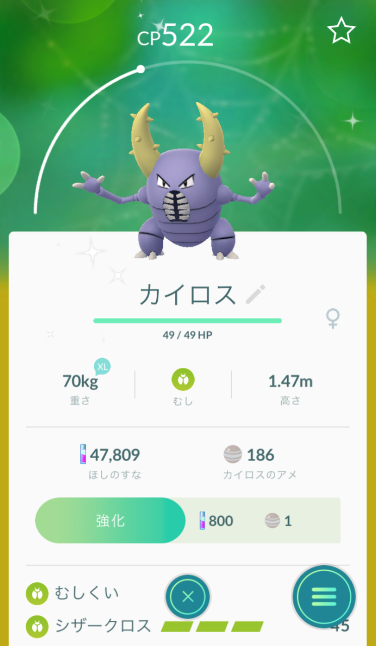 にゃん太のポケモン日記 ポケモンgo 色違いのカイロスゲット