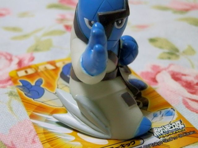 にゃん太のポケモン日記 キメわざポケモンキッズbw４ ダゲキ