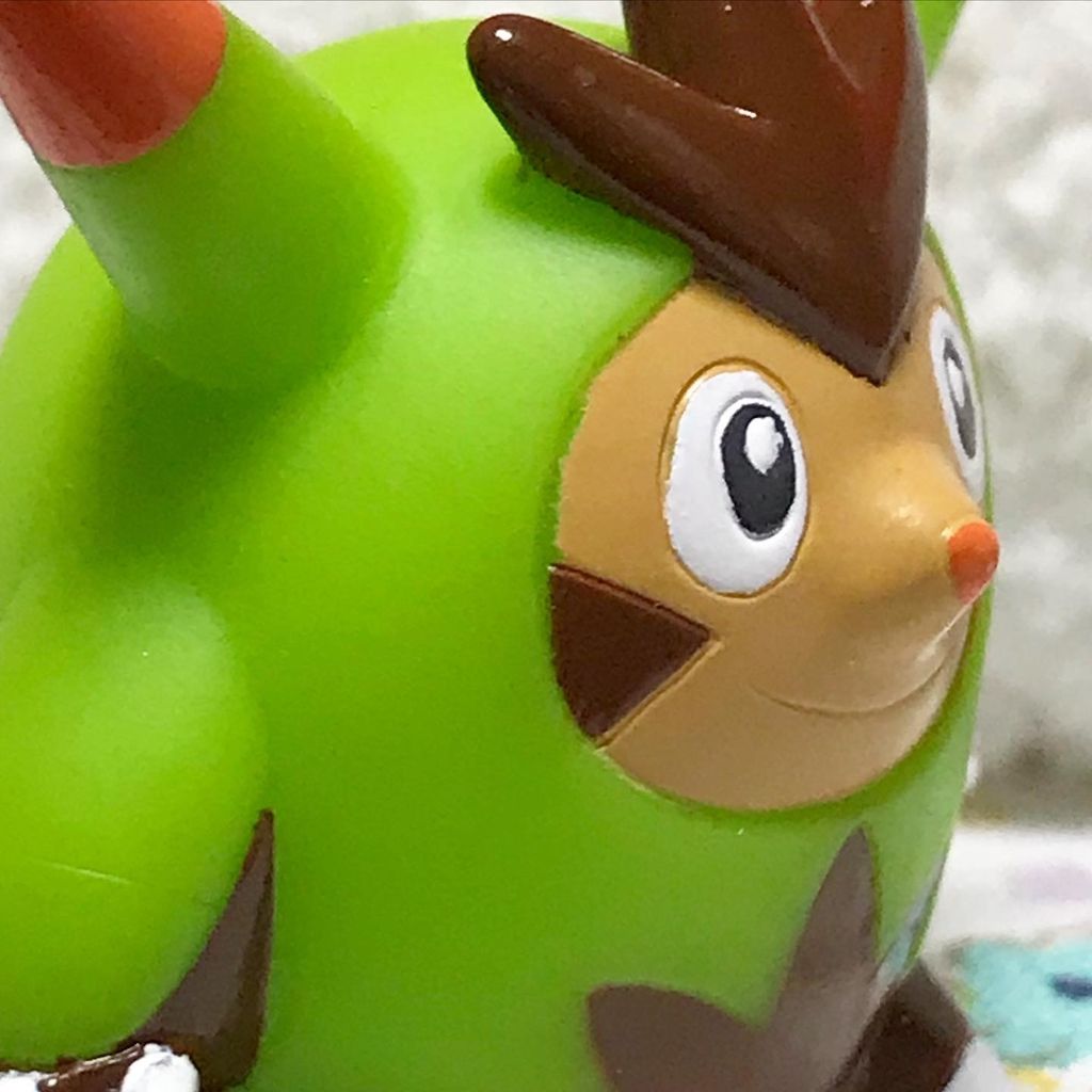 にゃん太のポケモン日記 ポケモンキッズ