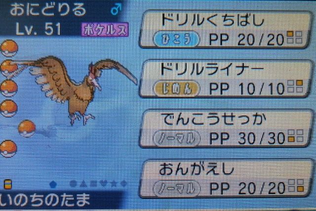 にゃん太のポケモン日記 にゃん太のxyプレイ日記 鳥パ育成編 オニドリル にゃん太のポケモン日記 にゃん太のxyプレイ日記 鳥パ育成編 オニドリル