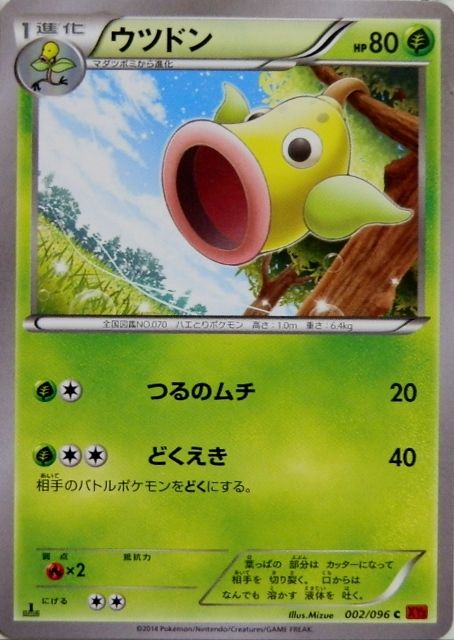 にゃん太のポケモン日記 14年06月