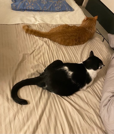 FullSizeRender