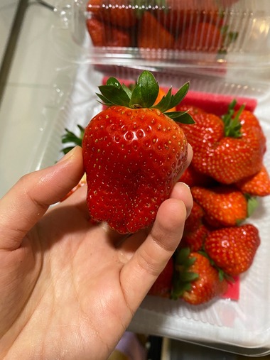 FullSizeRender
