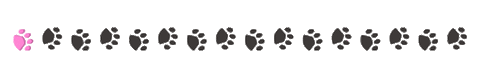 91da24d9-s