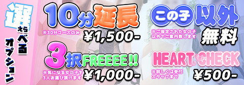 改通常オプションバナー