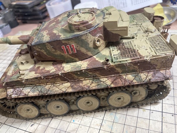 tiger-08