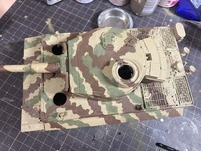 tiger-05