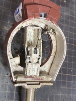 tiger-01