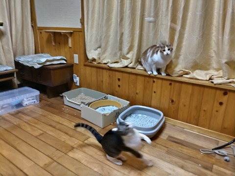 .trashed-1676641678-DSC_1824[1]