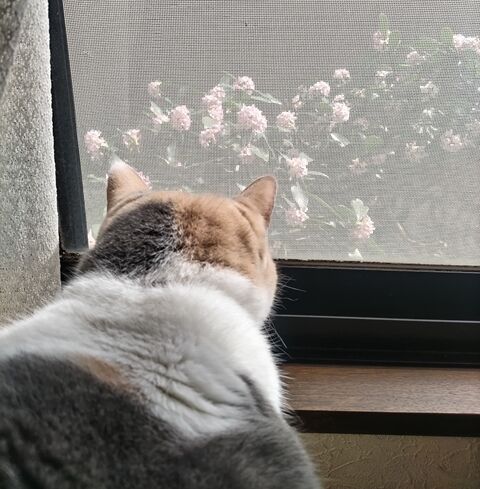 030901