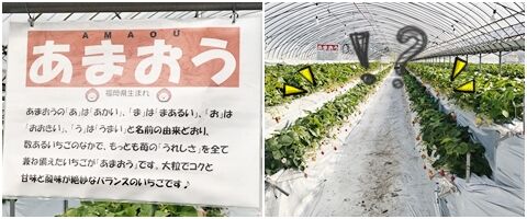 itigo041719