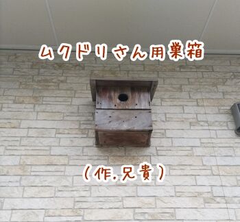 DSC_0252~2
