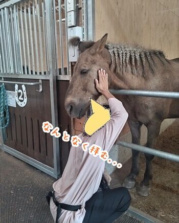 GALLOP.24