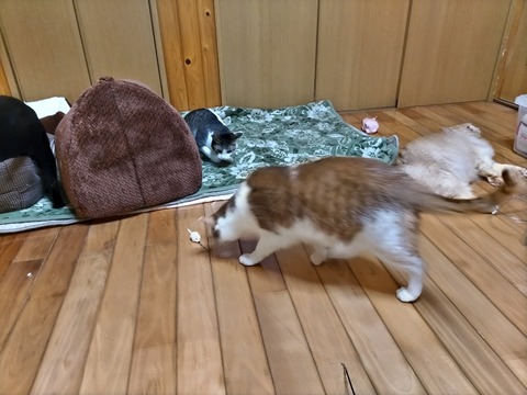 .trashed-1676641861-DSC_1790[1]