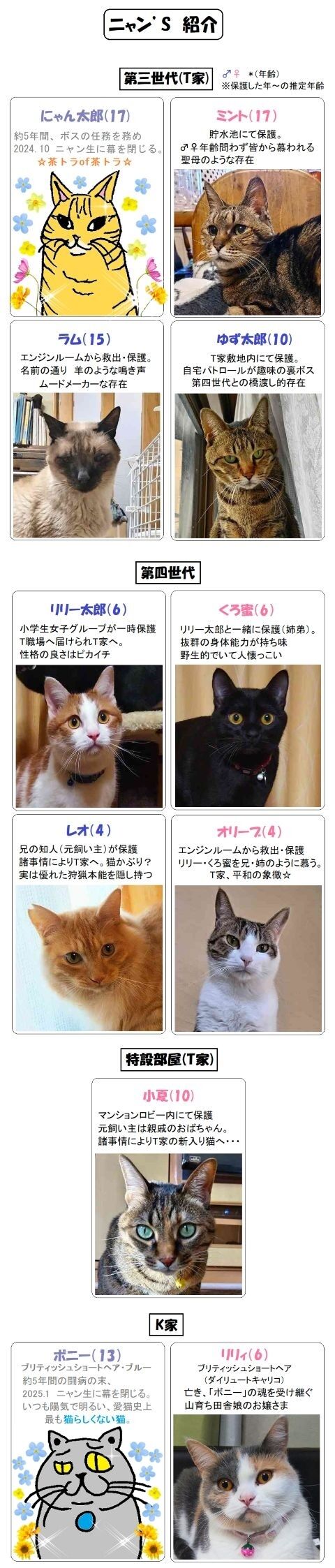 hogoneko紹介2026.03.2401