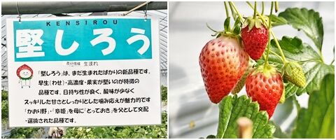 itigo041711