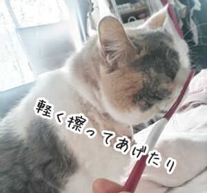 070810