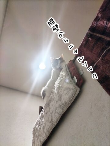 030314