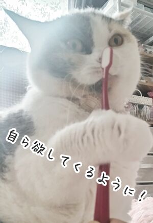 070812