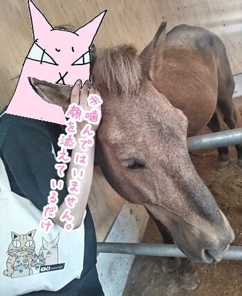 GALLOP.23