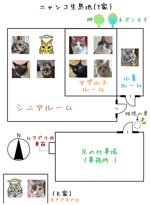 相関図.改20251222