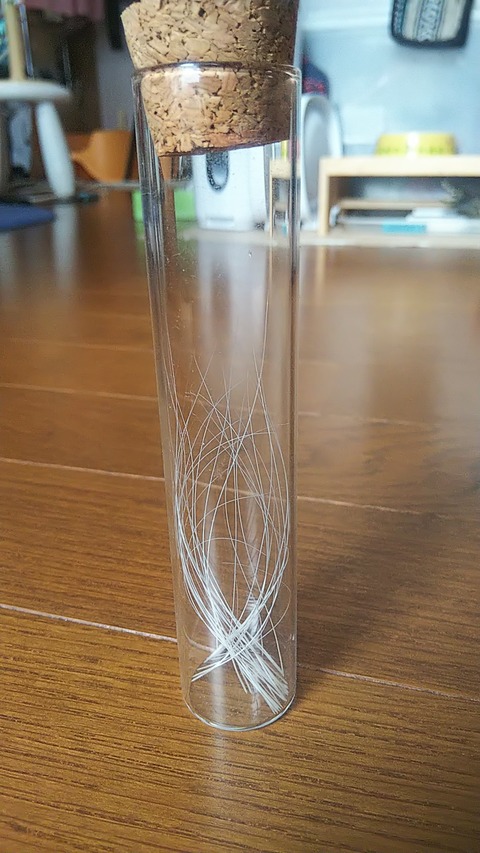 IMG_0001_BURST0010009