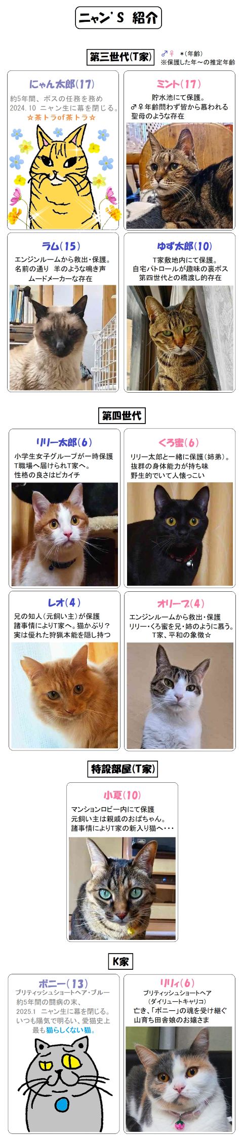 hogoneko紹介2025.1119