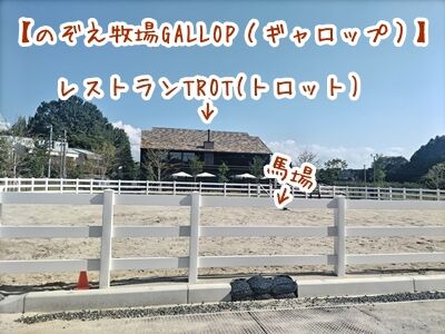 GALLOP.05