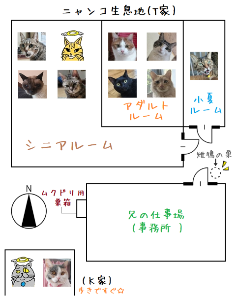 相関図.改2025110301
