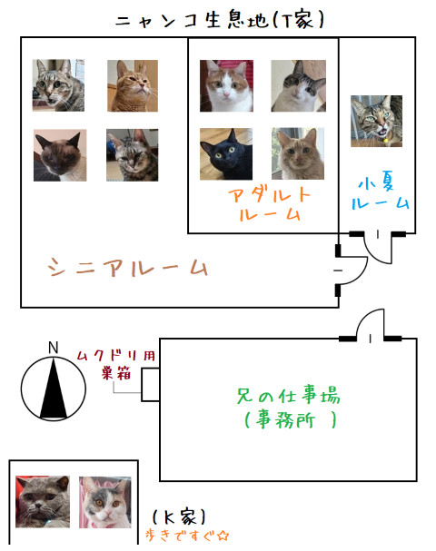 ニャンコ図面blog
