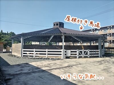 GALLOP.07