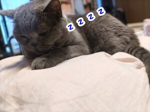 DSC_0517~2